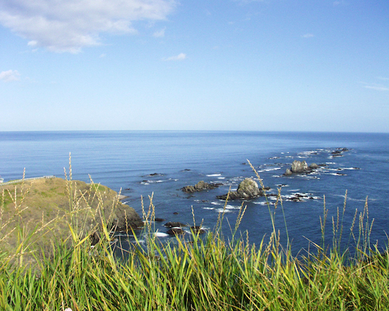 襟裳岬からの眺望